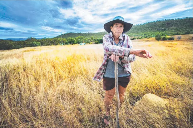  ??  ?? POPULATION, ONE: Helen Volkman, 80, out on her morning walk in the wild country of her isolated Thornborou­gh property, north of Dimbulah. Picture: LACHIE MILLARD