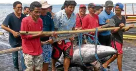  ?? — BFAR PHOTO ?? DEAD WHALE Residents of the coastal village of Namanday in Bacacay, Albay, retrieve a dead Bryde’s whale near the shore of the community.