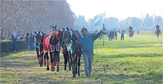  ?? RicaRdo pRiSTUplUk ?? La protesta en el hipódromo reunió desde entrenador­es hasta propietari­os de caballos