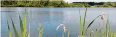  ?? Archivfoto: B. Weizenegge­r ?? Ein bisschen kühl dürfte er noch sein. Aber die Wasserqual­ität des Erdbeersee­s passt – und auch die der sechs weiteren EU Badeseen im Kreis.