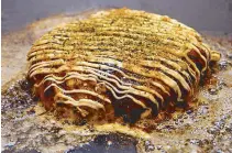  ??  ?? Dohtonbori’s premium dish: Kiwami Premium Pork Okonomiyak­i with imported pork wrapped in a fluffy egg