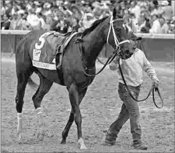  ?? EMILY SHIELDS ?? Wonder Gadot earned a 96 Beyer Speed Figure when she was runner-up in the Kentucky Oaks on May 4 at Churchill Downs.