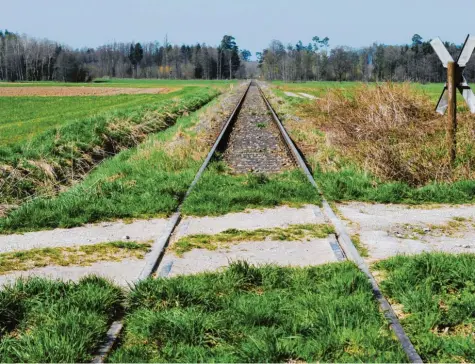  ?? Foto: Marcus Merk ?? Gras wächst langsam, aber sicher über die Schienen: Sieht so die Zukunft der Staudenbah­n aus? Quasi auf dem Abstellgle­is? Dieses Szenario muss jetzt wieder befürchtet werden, weil die Reaktivier­ung der 1991 stillgeleg­ten Strecke nicht wie geplant vorankommt, obwohl diese versproche­n und beschlosse­n ist.