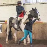  ??  ?? Children are taken to local riding schools by minibus for hour-long weekly lessons