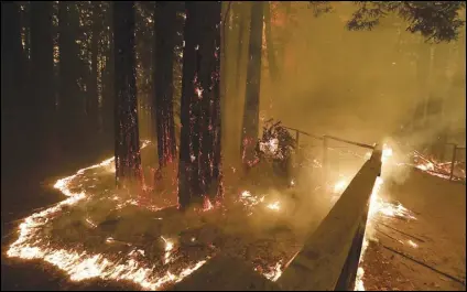  ?? ASSOCIATED PRESS FILES ?? The CZU August Lightning Complex fire consumes trees and a fence along Empire Grade Road in the Santa Cruz Mountains community of Bonny Doon near Santa Cruz in August. Months-old embers from the deadly California fire were blown back to life Tuesday by powerful winds that raked the state and prompted safety blackouts to tens of thousands of people.