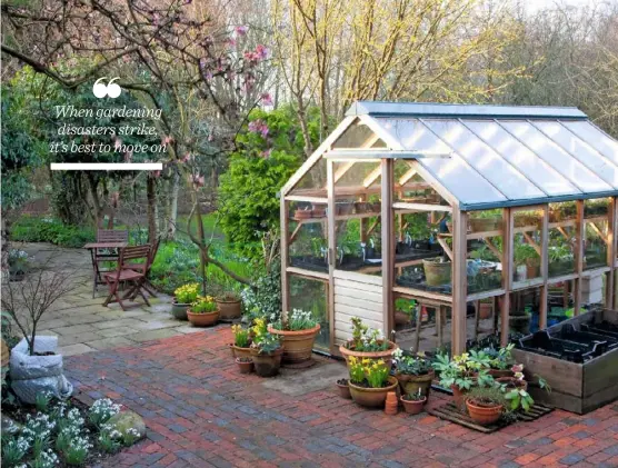  ??  ?? simple pleasures (clockwise from above) The greenhouse is a hive of propagatio­n; early-flowering Prunus incisa creates a canopy of late-winter blossom above carpets of snowdrops and hellebores; Nick’s handmade benches provide somewhere to sit; insects are not disturbed at this Chelsea-inspired hotel