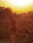  ?? AP PHOTO/ MATT YORK ?? A man runs through the desert at sunrise, Friday, in Phoenix. A record heat wave is rolling into Arizona, Nevada and California, threatenin­g to bring 120-degree temperatur­es to Phoenix by early next week.