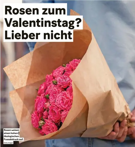  ?? Getty Images ?? Rosen weisen einen hohen ökologisch­en fussabdruc­k auf.