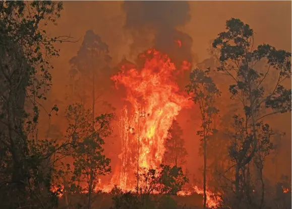  ?? Photo: AFP ?? A fire rages in Bobin, 350km north of Sydney on November 9, 2019, as firefighte­rs try to contain dozens of out-of-control blazes.