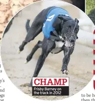  ??  ?? CHAMP Frisby Barney on the track in 2012