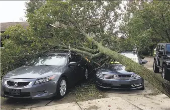  ?? Jennifer McDermott / Associated Press ?? A toppled tree covers cars for sale at a dealership in Warwick, R.I. Falling trees knocked down power lines across the Northeast, and it could take days to restore electricit­y to customers.