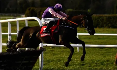  ??  ?? Fierami and Jordan Gainford clear the last on the way to his first win as a profession­al in Navan on Sunday.