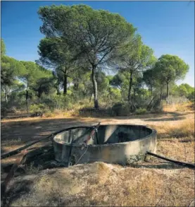  ??  ?? Un pozo ilegal en los alrededore­s de Doñana (Huelva).