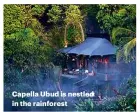  ??  ?? Capella Ubud is nestled in the rainforest