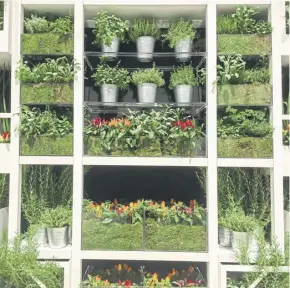  ?? ?? Shelves of herbs, above; Mark Ridsdill Smith, inset