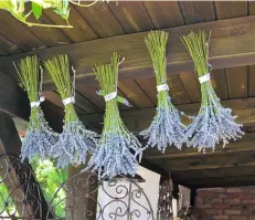  ??  ?? Dufte aufgehängt: Lavendel trocknet in der Laube am Haus.