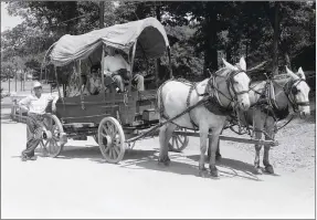  ?? Courtesy photo Bella Vista Historical Museum ?? The palomino mule team and the covered wagon was a popular attraction around Lake Bella Vista in the late 1960s and early 1970s.