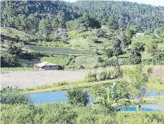  ?? FOTOS: EDUARD RODRÍGUEZ ?? Algunas personas se dedican al cultivo de hortalizas, pero en sus lagunas también hay pesca deportiva y cultivo de tilapias.