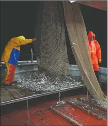  ??  ?? Pasquale Di Bartolomeo (left) and Francesco unload a fishing net during a fishing trip in the Tyrrhenian Sea.