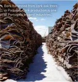  ??  ?? Bark harvested from cork oak trees in Portugal. Cork production is one of Portugal’s biggest industries.