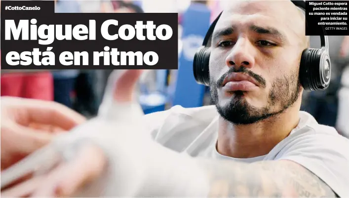 Miguel Cotto Junito - Camiseta de boxeo