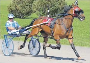  ?? JASON SIMMONDS/JOURNAL PIONEER ?? Norris Rogers drives Allstar Seelster to victory in the $1,800 Race 10 at Red Shores at Summerside Raceway on Sunday afternoon. Allstar Seelster recorded the fastest mile – 1:55 flat – of the 12-dash program.