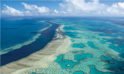 ??  ?? ‘The Great Barrier Reef, one of our planet’s largest living structures, has been severely damaged by unpreceden­ted marine heatwaves.’ Photograph: Jumbo Aerial Photograph­y/AP