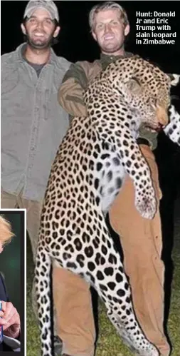  ??  ?? Hunt: Donald Jr and Eric Trump with slain leopard in Zimbabwe