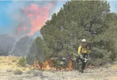  ?? Helen H. Richardson, The Denver Post ?? Firefighte­r Lydia Zowada monitors a burnout operation to protect structures from the Spring Creek fire on Monday in La Veta.