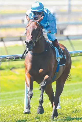  ?? Picture: AAP IMAGE ?? Whypeeo is stepping up in class at Caulfield today.