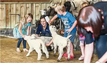  ?? — Destinatio­n Rotorua ?? Children excitedly bottle-feeding lambs with milk at the Agrodome in Rotorua.