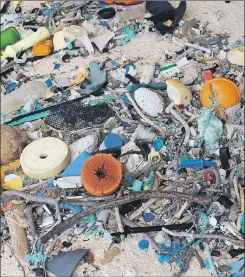  ?? JENNIFER LAVERS VIA AP ?? When researcher­s traveled to the tiny, uninhabite­d island in the middle of the Pacific Ocean, they were astonished to find an estimated 38 million pieces of trash washed up on the beaches.