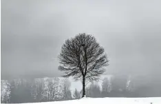  ?? Foto: Sven Hoppe, dpa ?? So schön melancholi­sch kann der Winter in Spitzingse­e in Bayern sein. Warm einge packt lassen sich auch Nebel und Schnee genießen. LANDSBERG