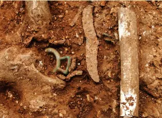  ??  ?? Below: Grave 1 grave goods; note harness fitting and fire-steel (top), and girdle-hangers appearing after the steel and leg bone are lifted (bottom)