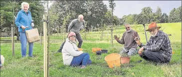  ?? ?? Volunteers planting bulbs at the woods