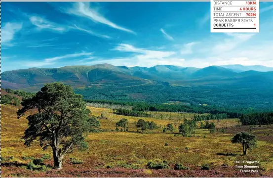  ??  ?? The Cairngorms from Glenmore Forest Park.