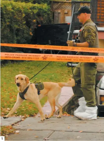  ?? PHOTOS AXEL MARCHAND LAMOTHE ET TIRÉE DE FACEBOOK ?? 1. Le SPVM a fait appel à deux chiens renifleurs spécialisé­s en recherche de cadavre pour fouiller la cour et la maison de Josiane Arguin. 2. Les policiers ont calfeutré une fenêtre avec des sacs à poubelles pour possibleme­nt procéder à des tests au Luminol.3. Les technicien­s en scène de crime se sont attardés à la voiture stationnée dans l’entrée au cours de l’après-midi. 4. Josiane Arguin manque à l’appel depuis deux mois.