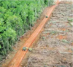  ?? ?? A Europa llega el 20% de la palma de Indonesia y Malasia