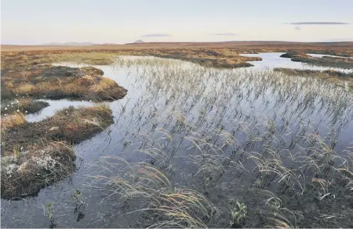  ?? PICTURE; LORNE GILL ?? 0 Conservati­onists at the John Muir Trust want the same level of protection for wilderness areas that is already in place for national parks and national scenic areas