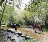  ??  ?? TOP LEFT New waymarkers were installed along the route in 2020 RIGHT Moretonham­pstead in summer BOTTOM LEFT Horses ford the River Bovey at North Bovey – the waterway then meanders towards Bovey Tracey