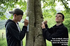  ??  ?? tom et maël, élèves de seconde, durant le cours de botanique en forêt.