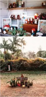  ??  ?? Left and bottom: Friday Hut Market, Coorabell, NSW. Below: A jamfilled stall in Queensland.