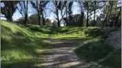  ?? ?? Left: An earthen crater-like structure related to explosives manufactur­ing in Point Pinole is surrounded by towering eucalyptus trees.