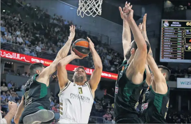  ??  ?? Felipe Reyes lanza a canasta rodeado de defensores del Panathinai­kos. Jugó su partido 350 en la Euroliga, líder histórico con nueve más que Navarro.