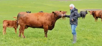  ?? Foto: Thorsten Jordan ?? Auf einer großen Wiese südlich von Oberwindac­h will der Landwirt Dieter Felser einen Stall bauen, doch der Gemeindera­t versagte dazu mehrheitli­ch das gemeindlic­he Einvernehm­en.