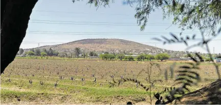  ?? CESAR ORTIZ ?? Cerro es un sitio en riesgo