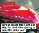  ??  ?? Let’s be honest, this is just a bit silly. You need to be a jockey to enjoy this pillion seat.