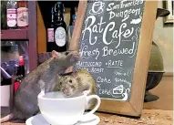  ?? FACEBOOK THE SAN FRANCISCO DUNGEON ?? Imagen del local The Rat Cafe, en San Francisco.