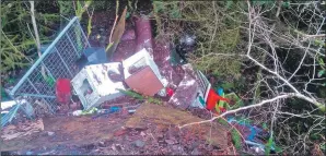  ??  ?? Some of the fly-tipped rubbish that blights the Glen Saloch road.