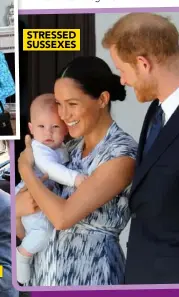  ??  ?? STRESSED SUSSEXES